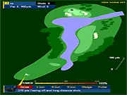 Stroke It Lucky online game showing a golf ball on a green with a flag in the distance