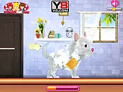 Kitty Grooming Salon game image showing a cute kitten being groomed with bubbles and accessories | Play free online pet makeover game