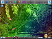 Rainbow Forest Escape online free point and click adventure game puzzle solving