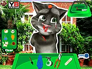 Free online game screenshot of Talking Tom At The Doctor showing the cat injured and medical tools on a tray