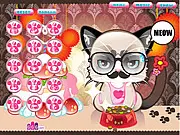 Grumpy Kitty free online dress-up game featuring the famous meme cat