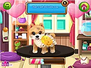 Paws to Beauty: Valentine Edition game screenshot showing a cute dog wearing a pink bow and heart accessories after a makeover, free pet dress-up game online
