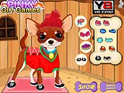 Chihuahua Puppy Care free online game screenshot, showing a cute puppy being cleaned, showered, and given a makeover.