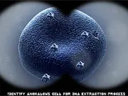 Play Killer Escape 3 free online horror escape game screen showing a dark room and a chilling figure.
