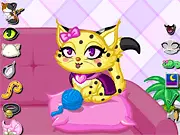 Purrfect Kitten Creator free online game customizing a kitten's fur, eyes, and accessories