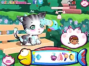 Play Doc McStuffins: Stray Kitten Caring free online game helping Doc treat and dress up an injured cat
