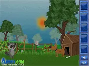 Raccoons Adventure free online point-and-click puzzle game screenshot featuring two cute raccoons standing near an obstacle that requires a hidden item to solve.