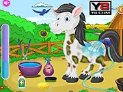 Screenshot of the Pet Horse Care online game, showing a player grooming and feeding a brown horse in a clean farm setting.
