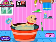 Little Labrador Accident online game screenshot showing a girl with a muddy Labrador dog ready for a bath
