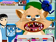 Cat with a toothache being examined by a doctor in the free pet dental care game