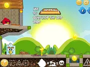 Angry Birds Find Your Partner free online card-matching memory game