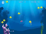 Best Hungry Fish online game screenshot of a small fish swimming in the ocean trying to eat tiny fish and avoid big fish