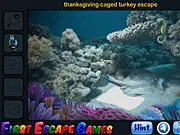 Under Water Airplane Escape game screenshot, finding clues in a sunken plane wreckage, point and click puzzle adventure online, free hidden object game.
