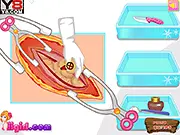 Elsa Appendicitis Operation game screen showing Princess Elsa on an operating table and a doctor preparing for surgery, free online medical simulation game
