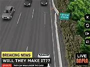 Lucky Duckies arcade game, mother duck and ducklings crossing a busy road, avoid cars, free online game