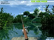 Screenshot of Summer Lake Fishing game showing a fishing rod cast into a clear, tranquil lake surrounded by a peaceful green forest under a summer sky.