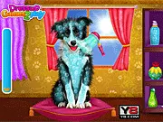 Screenshot from Pet Dogs Cool Makeover free online game showing a cute pet dog being groomed and dressed up with accessories and outfits