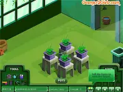 Play Zandra's Orchid Garden online free game, grow flowers, sell orchids, management simulation game, buy upgrades