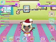 Kitty Championship free pet simulation game screenshot showing a well-dressed cat in training gear ready for competition