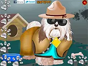 Online dress up game showing an adorable white Havanese dog with various fashionable outfits and accessories around it, ready to be styled.