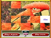 Parrot Sliding Puzzle game free online, classic sliding block puzzle, play brain teaser games, complete the parrot picture