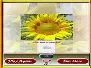 Play Sunflower Photo Puzzle free online sliding game on PlayArcadeHub