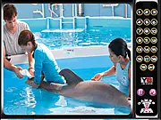 Dolphin Tale Hidden Numbers free online game screenshot, finding concealed numbers in a picture of a dolphin