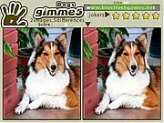 Gimme 5 Dogs free online puzzle game, spot the difference with cute puppies, play on PlayArcadeHub