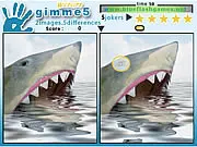 Gimme 5 Wildlife free online spot the difference puzzle game with animal photos on PlayArcadeHub