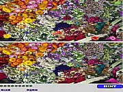 Free online DiffSpotter Spot the Difference game screenshot showing two nearly identical pictures side-by-side, challenging the player to find 10 errors.