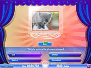 Screenshot of the Know Your Trivia online game, showing a quiz interface with a multiple-choice question on a general knowledge topic like zoology or history.