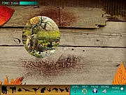 Hidden World: Animals free online hidden object game screenshot showing a detailed nature scene with hidden critters on PlayArcadeHub