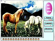 Close-up image of a majestic horse's head with faint, semi-transparent numbers subtly hidden in the mane and background, ready to be clicked in the online puzzle game Fantastic Horses Hidden Numbers