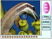 Ocean Animals Hidden Numbers online game screen showing a colorful coral reef scene with various marine life and subtly hidden numbers
