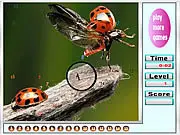 Bugs on the Woods Hidden Numbers free online game, search and find the hidden numbers in a forest scene