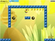 Tom Adventure Gold Coin Country free online platformer game hero running and collecting gold coins