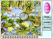 Free online game Crack Frogs Hidden Numbers gameplay screenshot