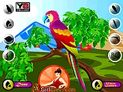 Decor the Cute Parrot free online pet dress up and decoration game