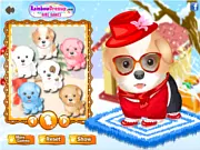 Snow Puffs Dog Dress Up game screenshot showing a cute small white dog wearing a red winter coat and a warm hat, surrounded by snow and snowflakes.