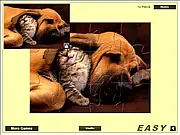 Cute Cat And Dog Jigsaw online puzzle game screenshot of a hugging cat and dog
