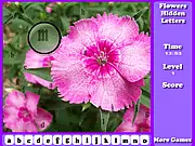 Gameplay screenshot of Flowers Hidden Letters showing a vibrant picture of various flowers with letters hidden subtly in the petals and leaves.
