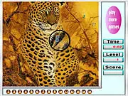 Fabulous Tigers Hidden Numbers free online game, a hidden object puzzle featuring images of tigers