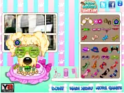 Pampered Dog Salon free online game for kids to dress up a cute puppy with clothes and hats
