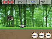Hasty Hedgehog free online endless runner game