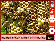 Play Honeycomb - Hidden Bees free online hidden object game with a bee on a honeycomb