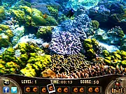 Sea World Sniper online game, hidden fish finder, underwater marine life hidden object game