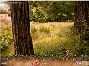 The Flower Seeker online game featuring a picture of the rare Ghost Orchid
