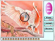 Birds In The Forest Hidden Numbers game screen showing a lush, green forest scene with a variety of birds and animals, and several numbers subtly painted into the background.
