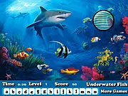 Fish Hidden Letters free online game, play free hidden object puzzle with ocean pictures, image of fish and coral hiding letters