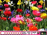 Play Secret Hearts free online hidden object Valentines game in a flower garden